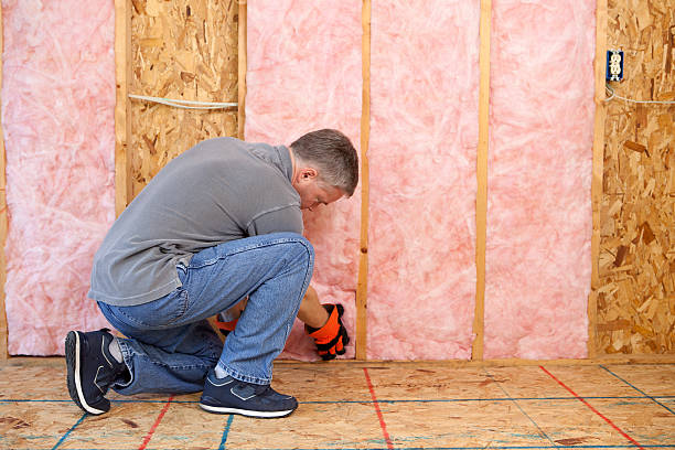 Best Attic Insulation Installation  in Balfour, NC