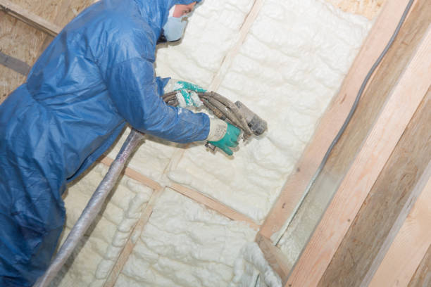 Best Spray Foam Insulation  in Balfour, NC