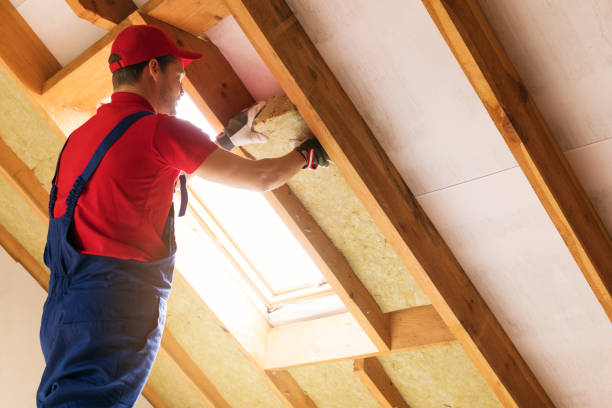 Best Garage Insulation  in Balfour, NC